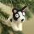 Cute Puppy Dog Ornament | New Pet Lover Home Decor & Gift (min. order qty 6 required)