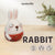 DIY Rabbit Bunny Needle Felting Kit | Pet Lover Craft Gift (min. order qty 6 required)