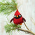 Cardinal ornament (min. order qty 6 required)