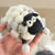 Needle Felting Sheep Kit (min. order qty 6 required)