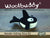 Needle Felting Orca Kit (min. order qty 6 required)